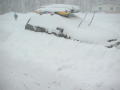 0503_25s.jpg