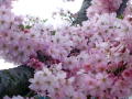 1005_03s.jpg