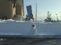 1102_23s.jpg