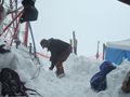 1102_36s.jpg