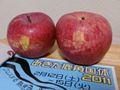 1102_55s.jpg