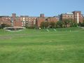 1109_02s.jpg