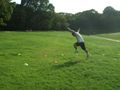 1109_08s.jpg