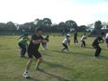 11110_02s.jpg