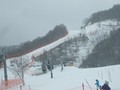 1112_31s.jpg