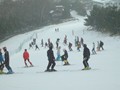 1201_02s.jpg