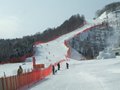 1204_12s.jpg