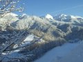 1301_12s.jpg
