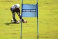1308_17s.jpg