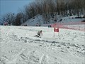 2203_06s.jpg